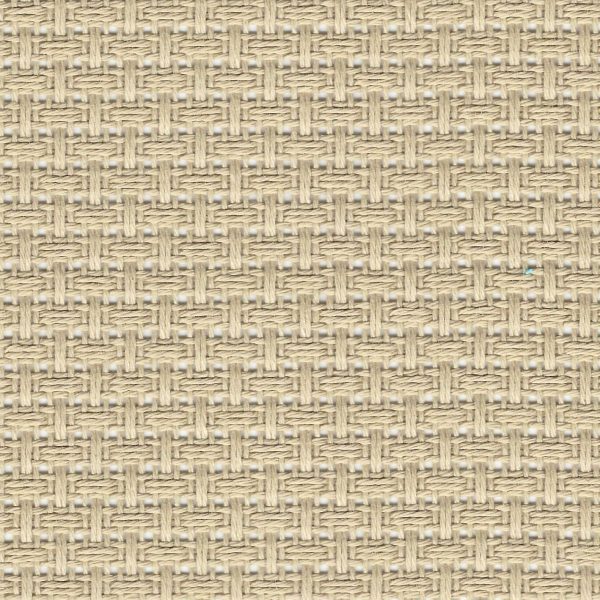 4049 | Turkestan