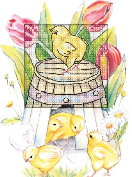 23 / 6265 | Küken 1