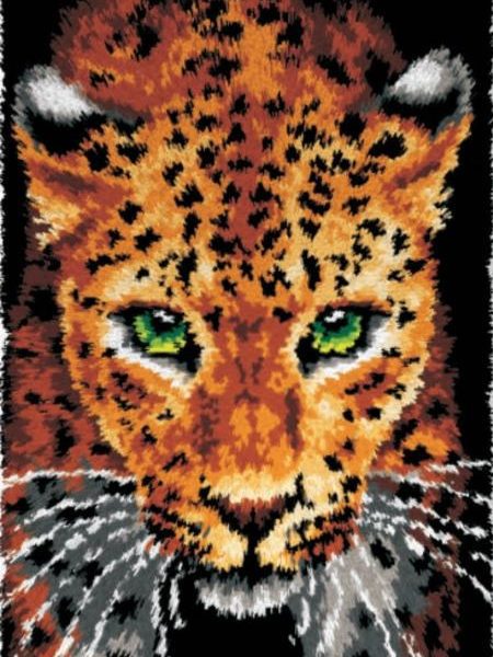 23 / 4164 | Leopard