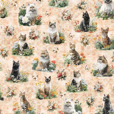 60 | Purrfect Garden